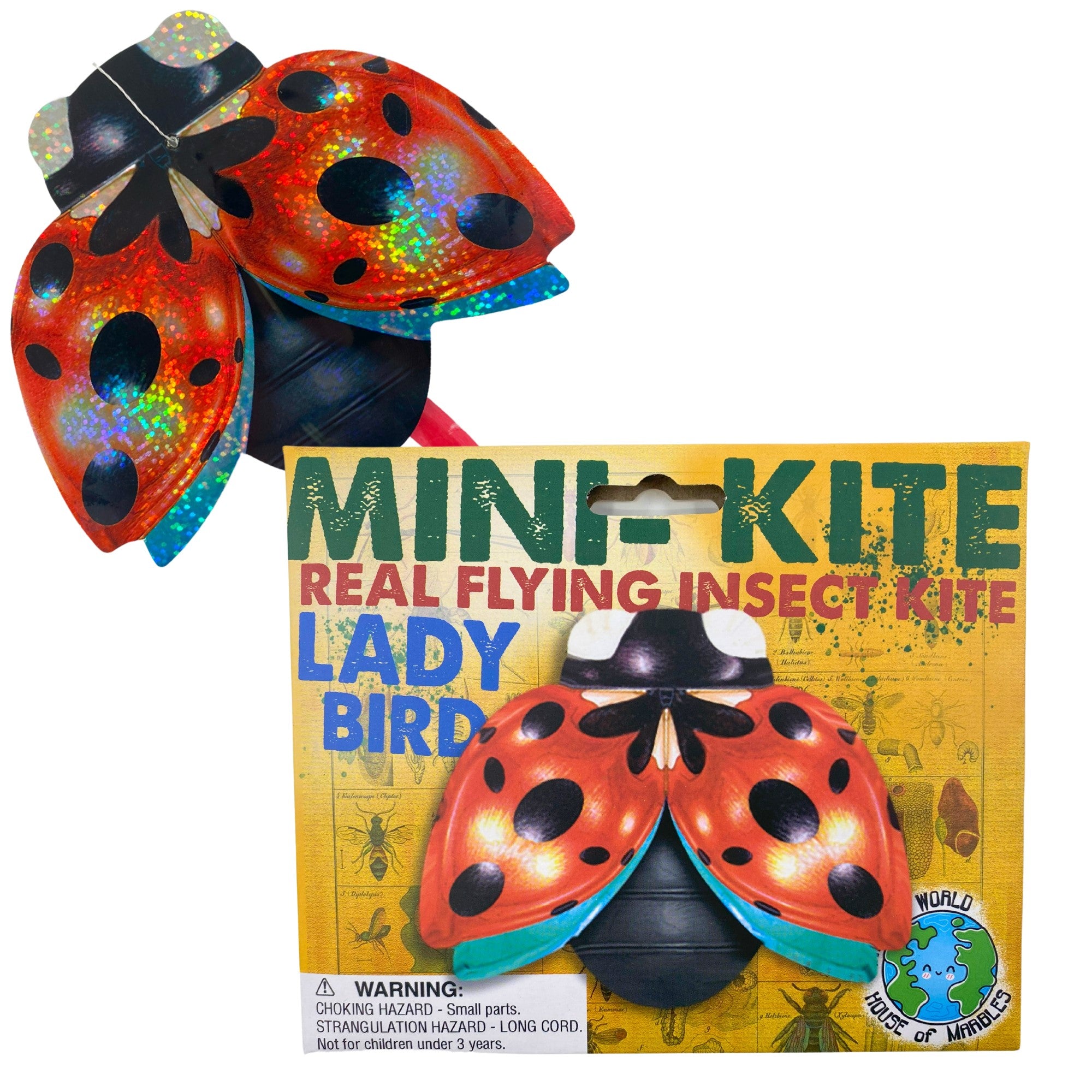 Tomfoolery Toys | Mini Flying Insect Kites