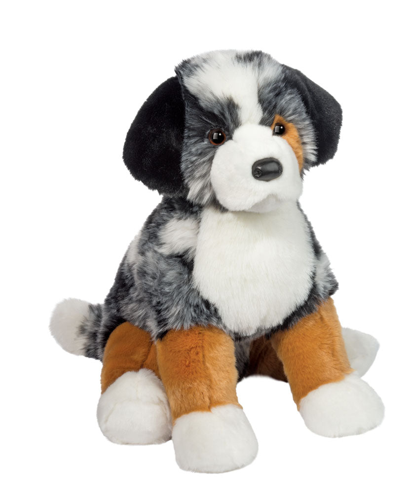 Aspen Australian Shepherd Cover
