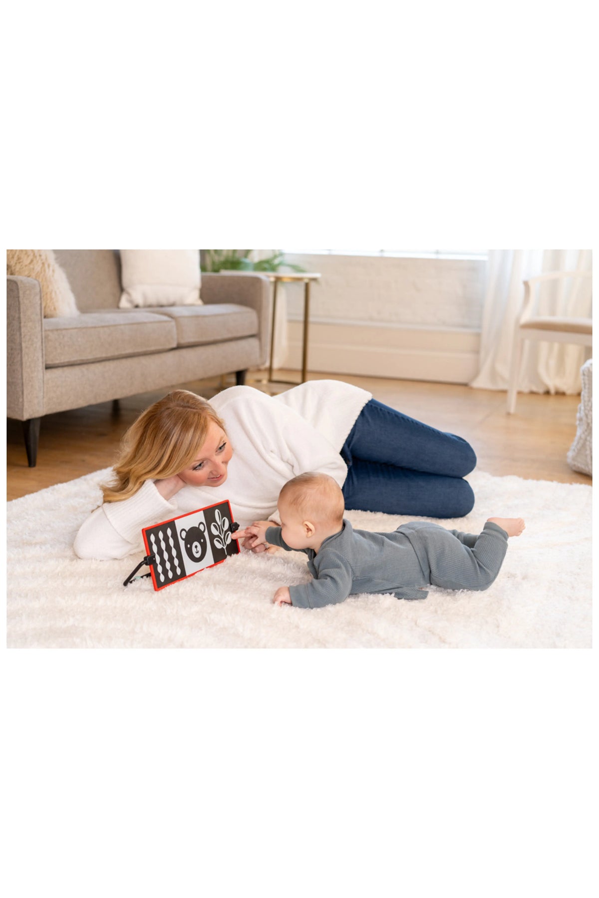 Wimmer Discovery Mirror Cover