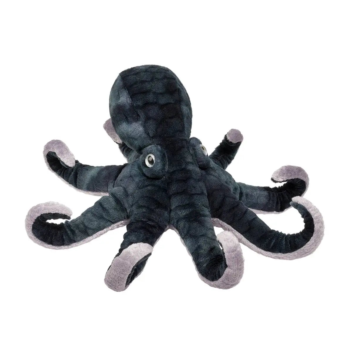 Winky Octopus Cover