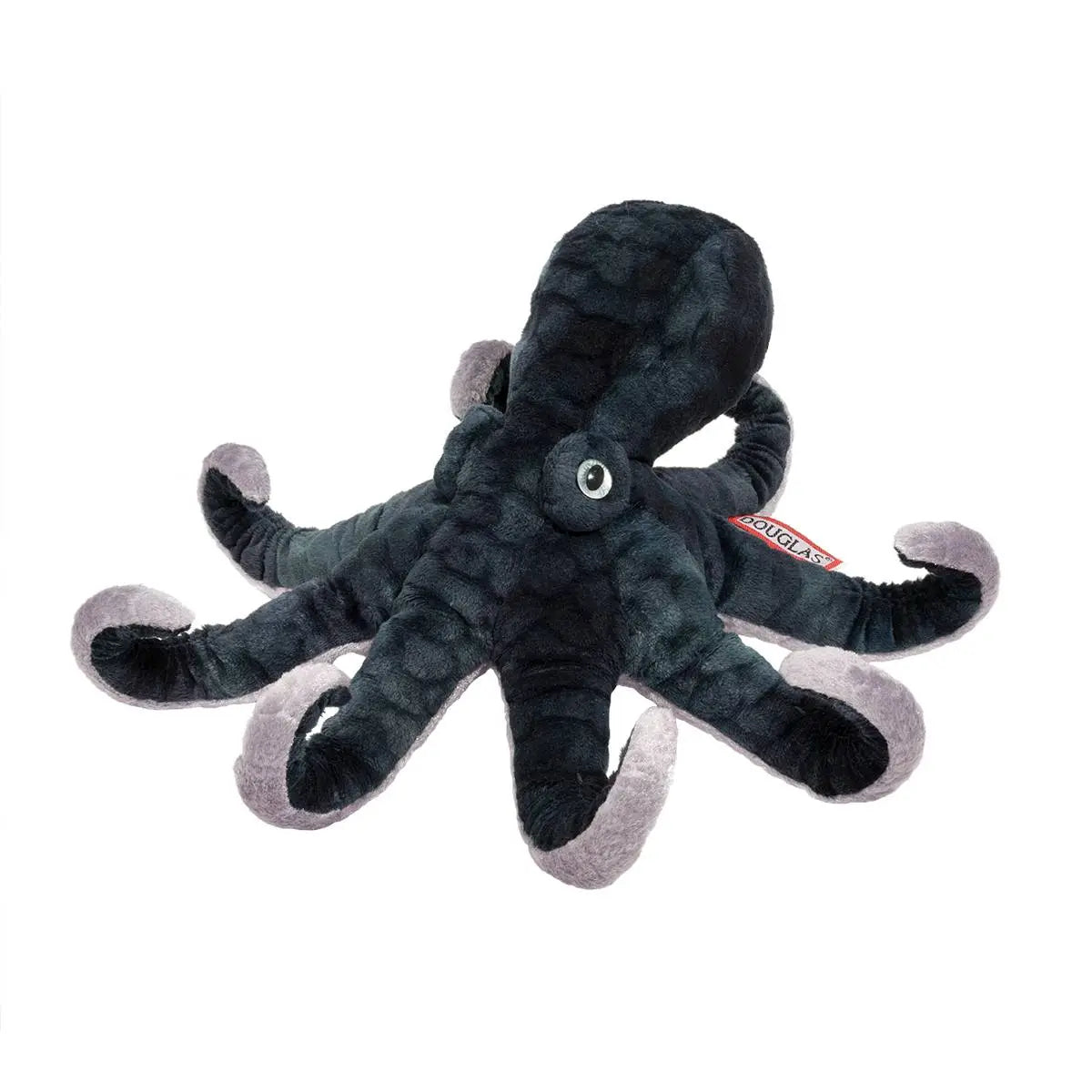 Winky Octopus Cover