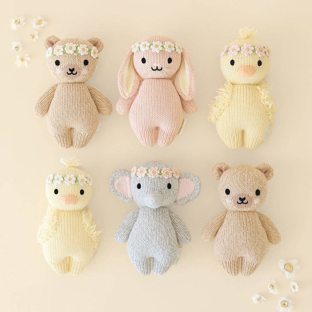 Baby Honey Bear Cover