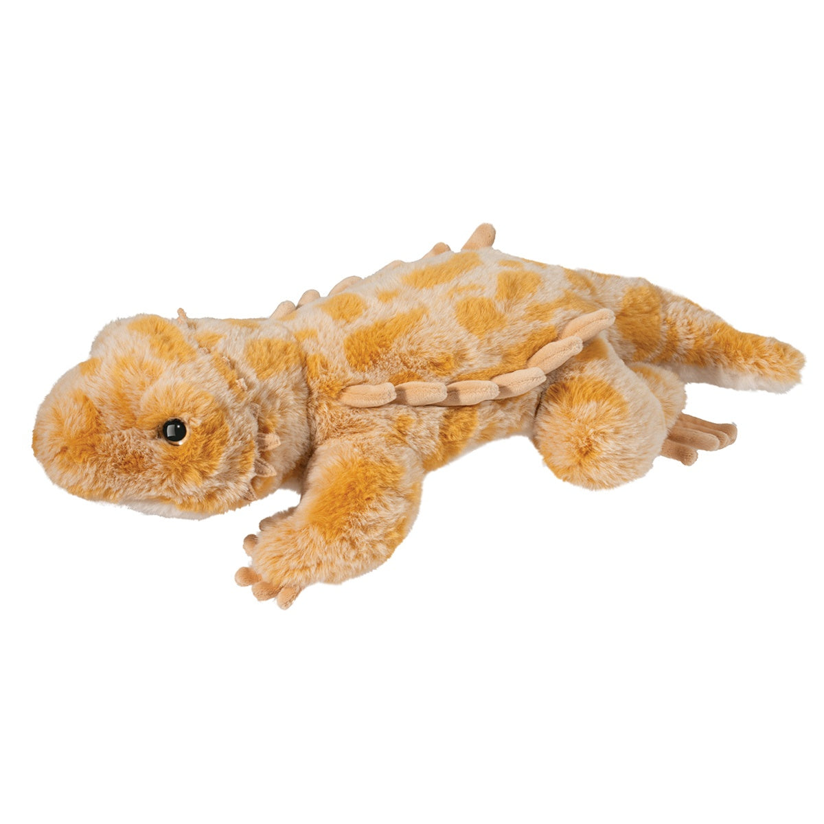 Boogie Bearded Dragon Soft Cover