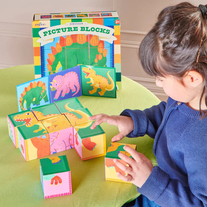 Tomfoolery Toys | Dinosaur Picture Blocks