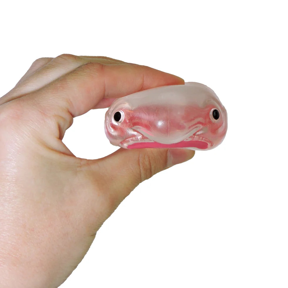 Itty Bitty Squidgy Oddity Cover