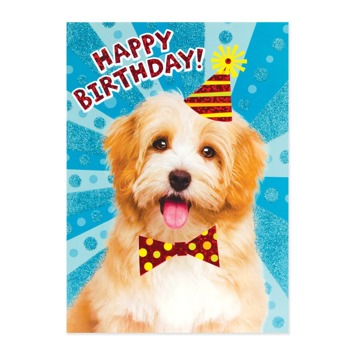 Glittery Birthday Dog Card Cover