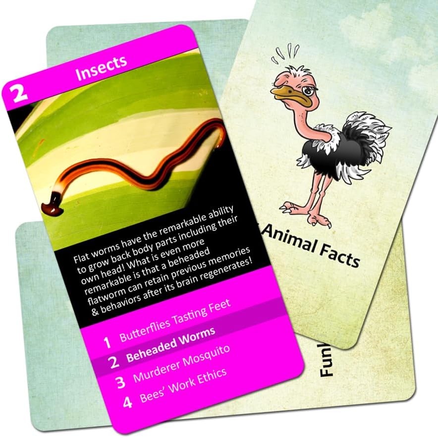 Go Fish: Funky Animal Facts Cover