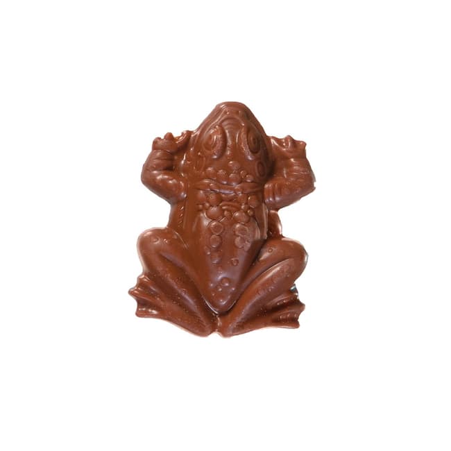 Harry Potter Chocolate Frog Cover