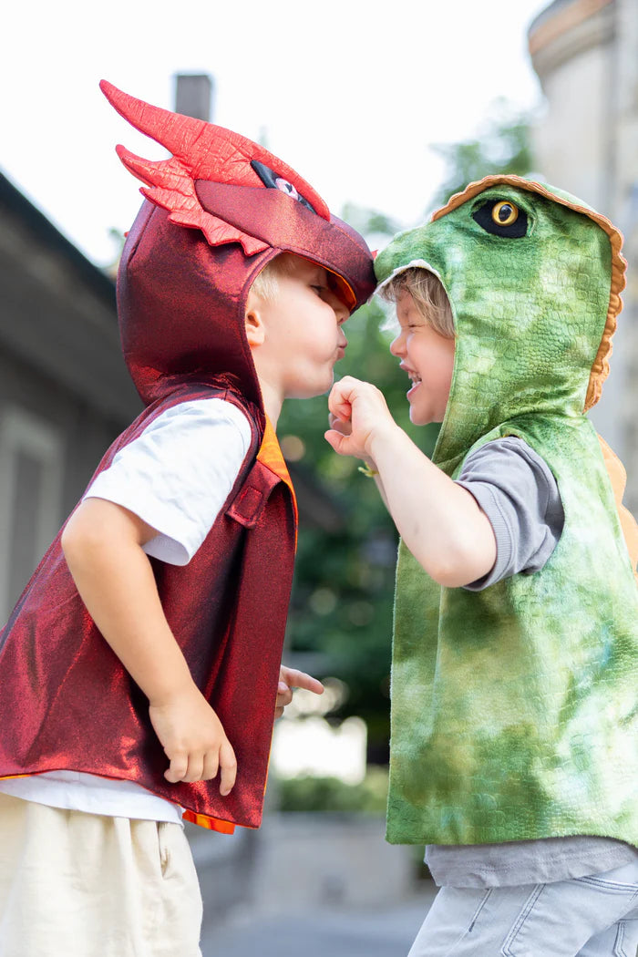 The All Day Everyday Dragon Vest, Sz 3-4 Cover