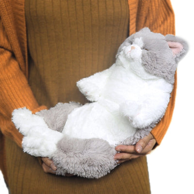 Gray & White Sunlemon Lap Cat Sleeping Preview #2