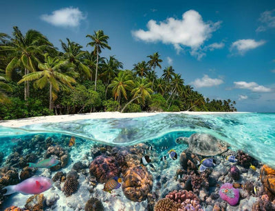 A Dive in the Maldives 2000pc Puzzle Preview #3