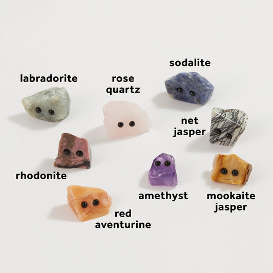 Tomfoolery Toys | Assorted Pet Rock