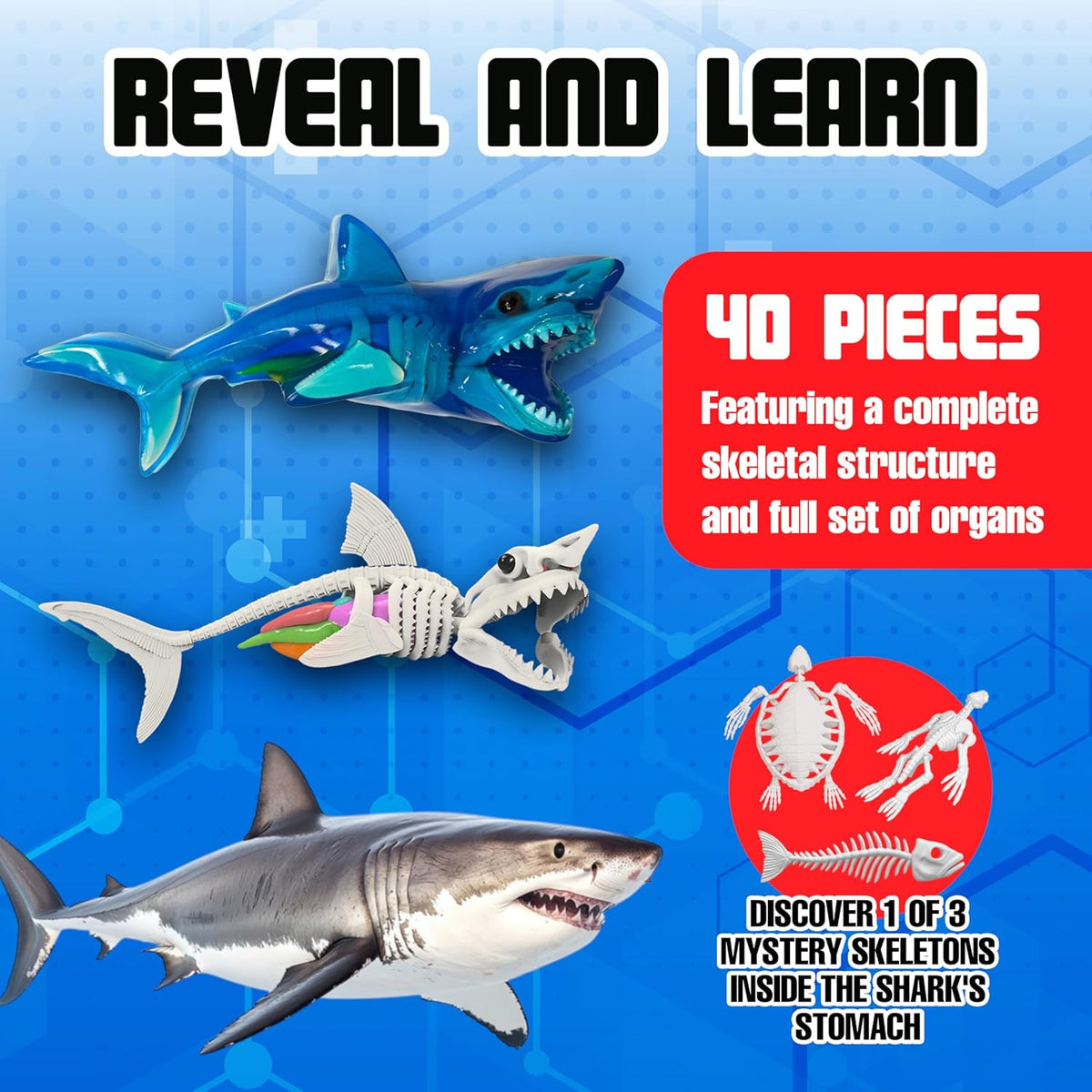 Dissect-It Shark Super Lab Cover