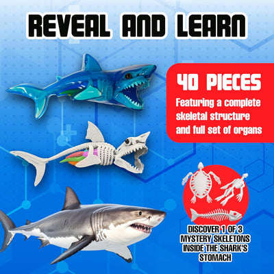 Dissect-It Shark Super Lab Preview #3