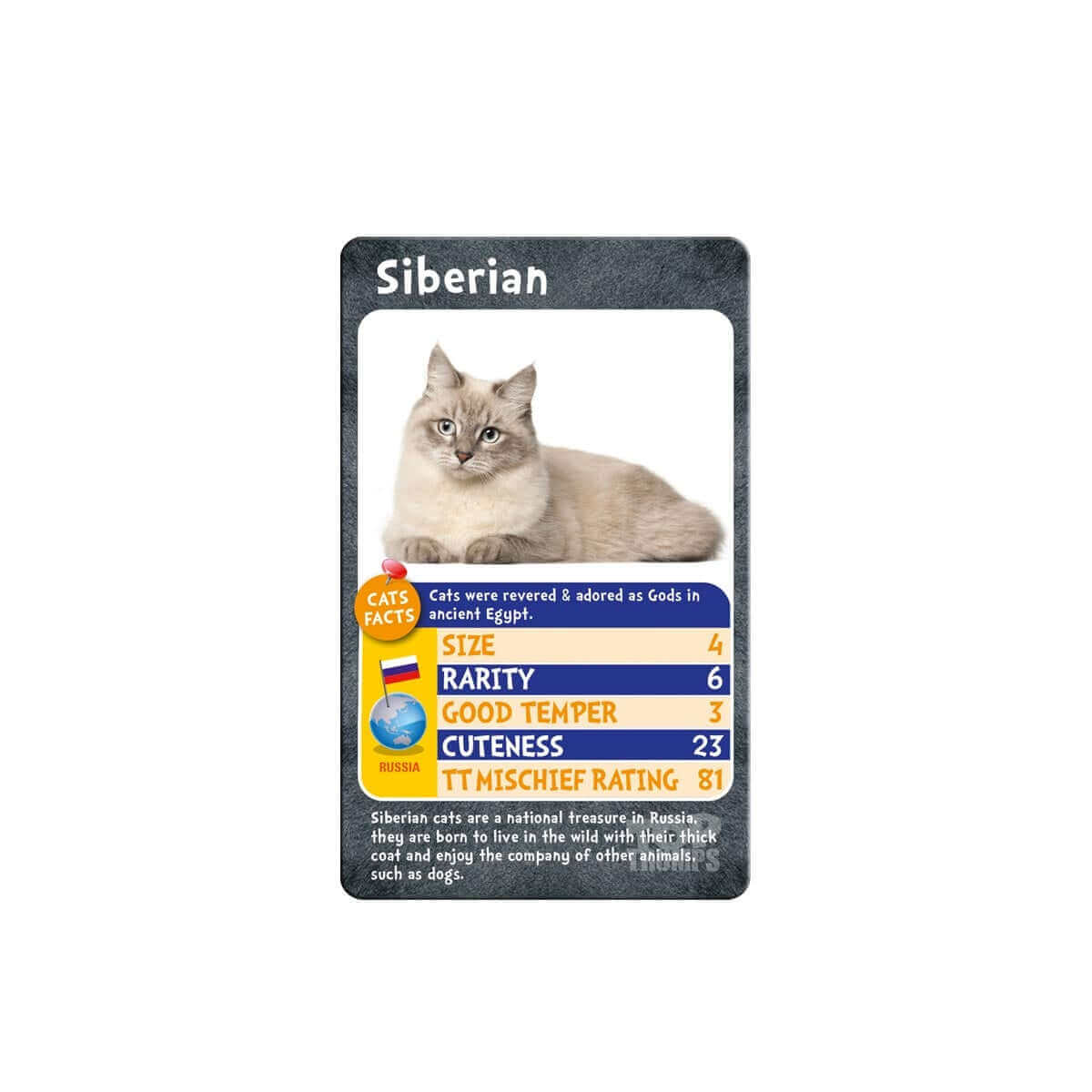 Cats Top Trumps Cover