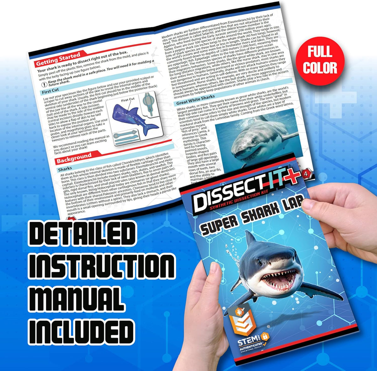 Dissect-it Shark Super Lab – Tomfoolery Toys and Books