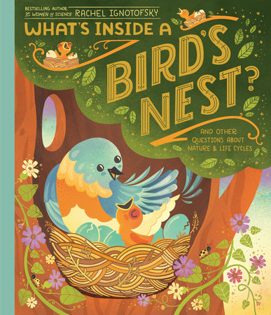 Tomfoolery Toys | What's Inside a Bird's Nest?