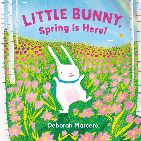 Little Bunny, Spring is Here! Cover