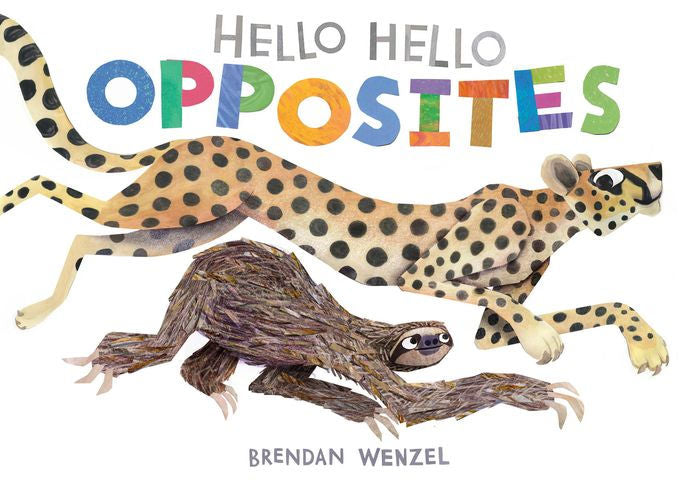 Hello Hello Opposites Cover