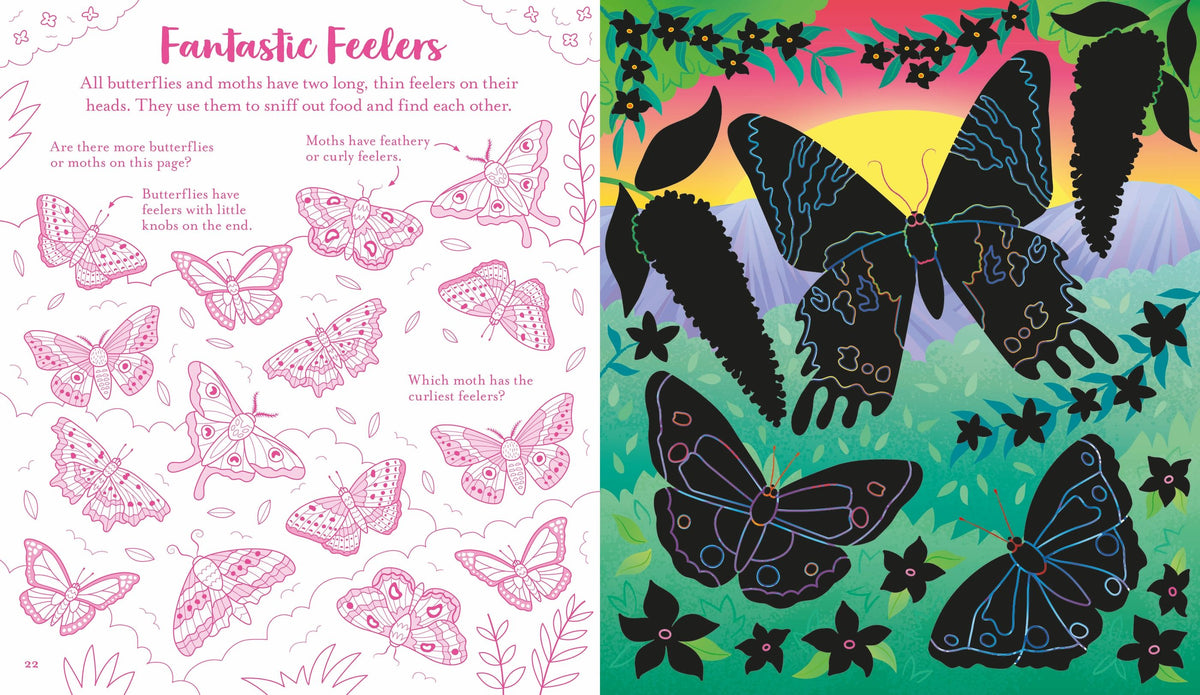 Scratch Activities Butterflies Cover