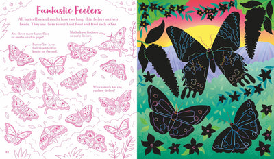 Scratch Activities Butterflies Preview #2