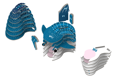 Whale Shark 3D Puzzle Preview #3