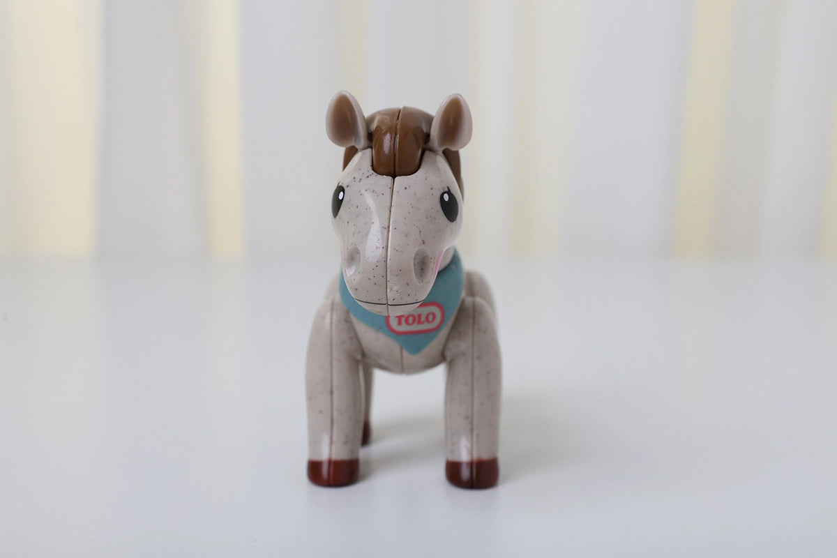 First Friends Pony Cover