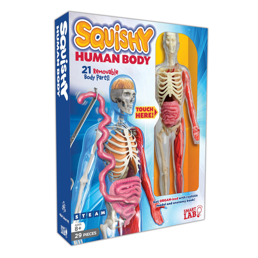 Tomfoolery Toys | Squishy Human Body