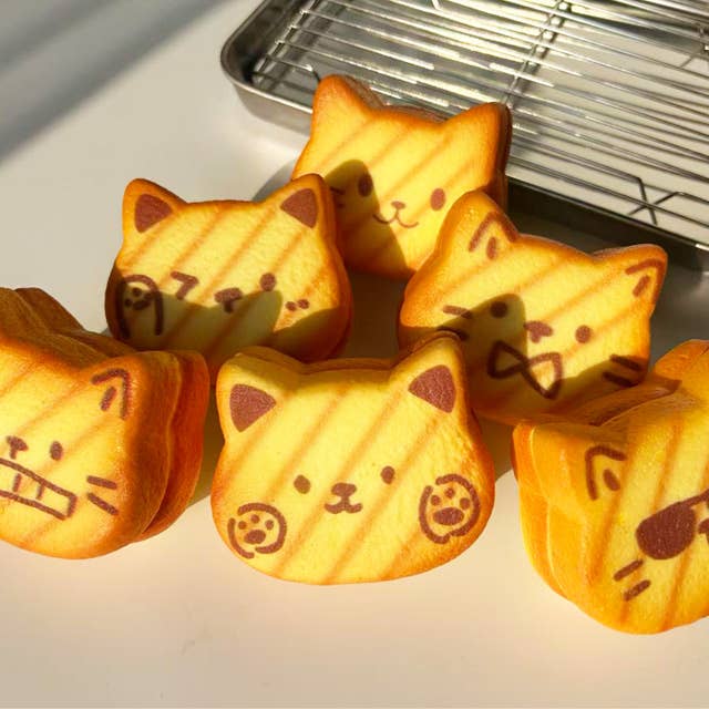 Nyang Nyang Cat Bread Squishy Cover