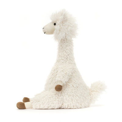 Alonso Alpaca Preview #2