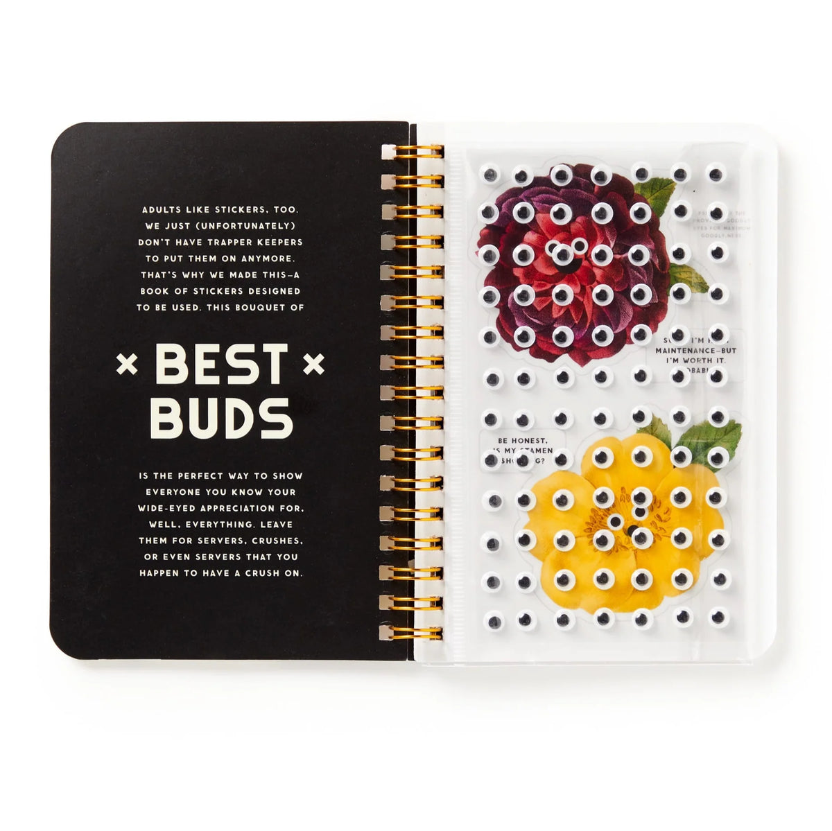 Googly Best Buds Sticker Book Cover