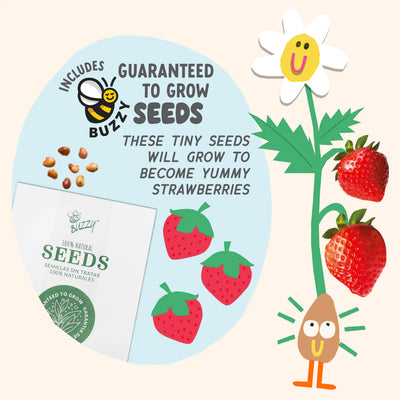 Paint & Grow Strawberry Preview #4