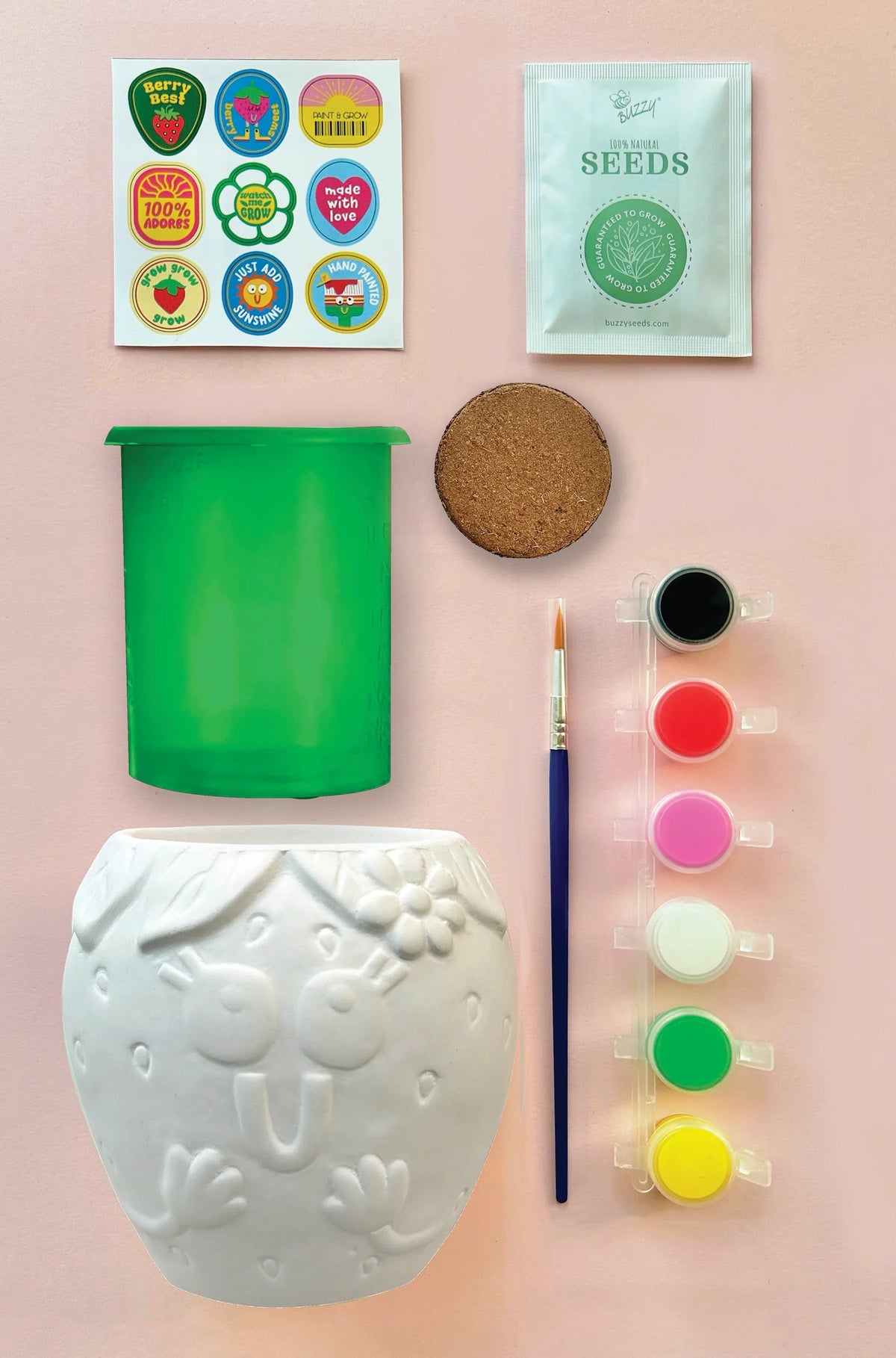 Paint & Grow Strawberry Cover