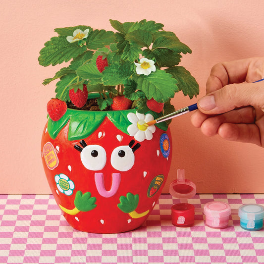 Tomfoolery Toys | Paint & Grow Strawberry