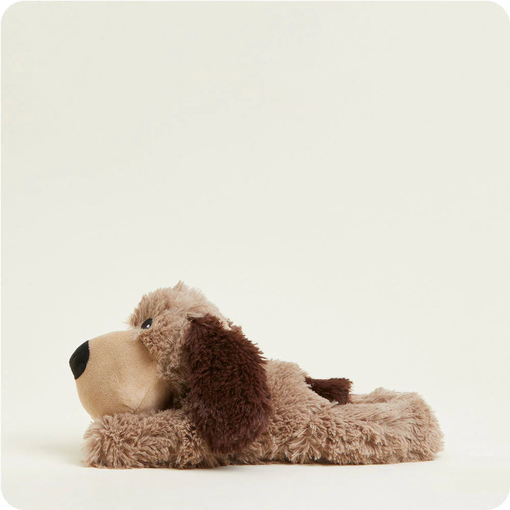 Brown Dog Warmies Cover