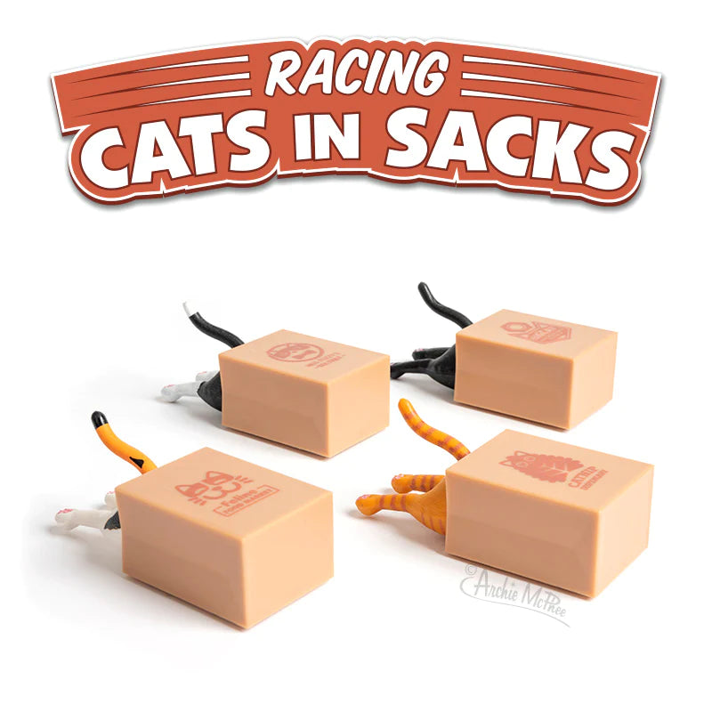 Racing Cats in Sacks Cover