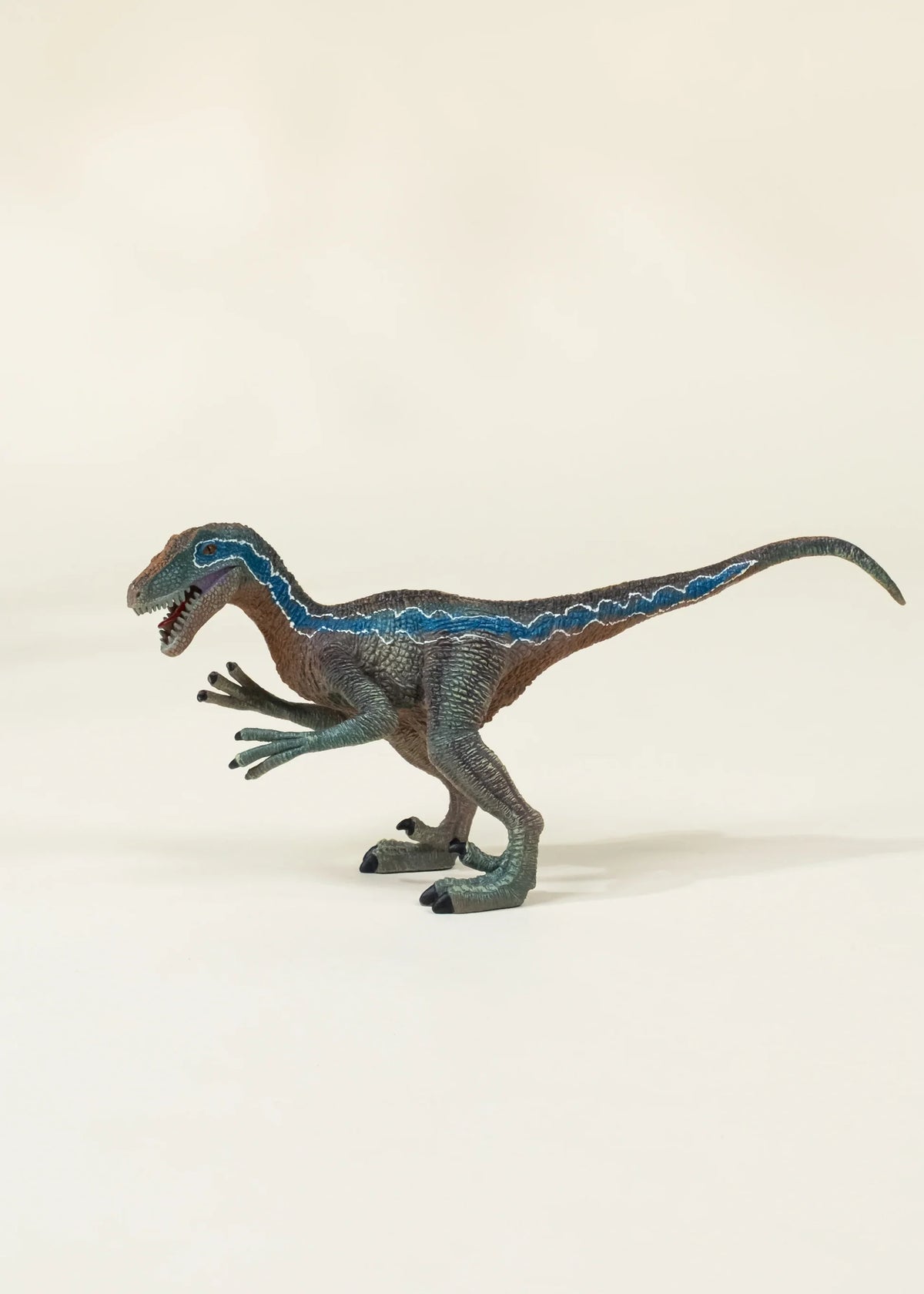 Velociraptor Dinosaur Collectible Cover