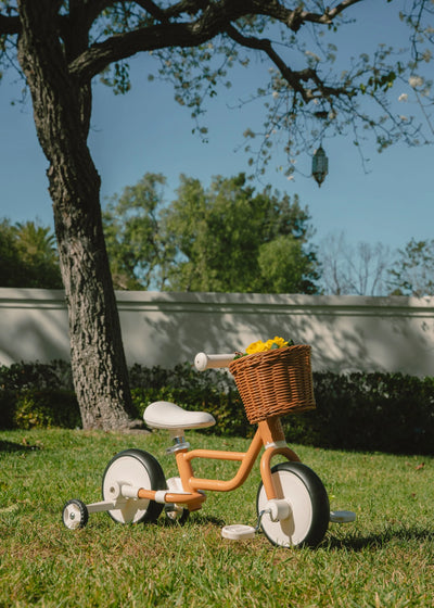 4-in-1 Tricycle Preview #7