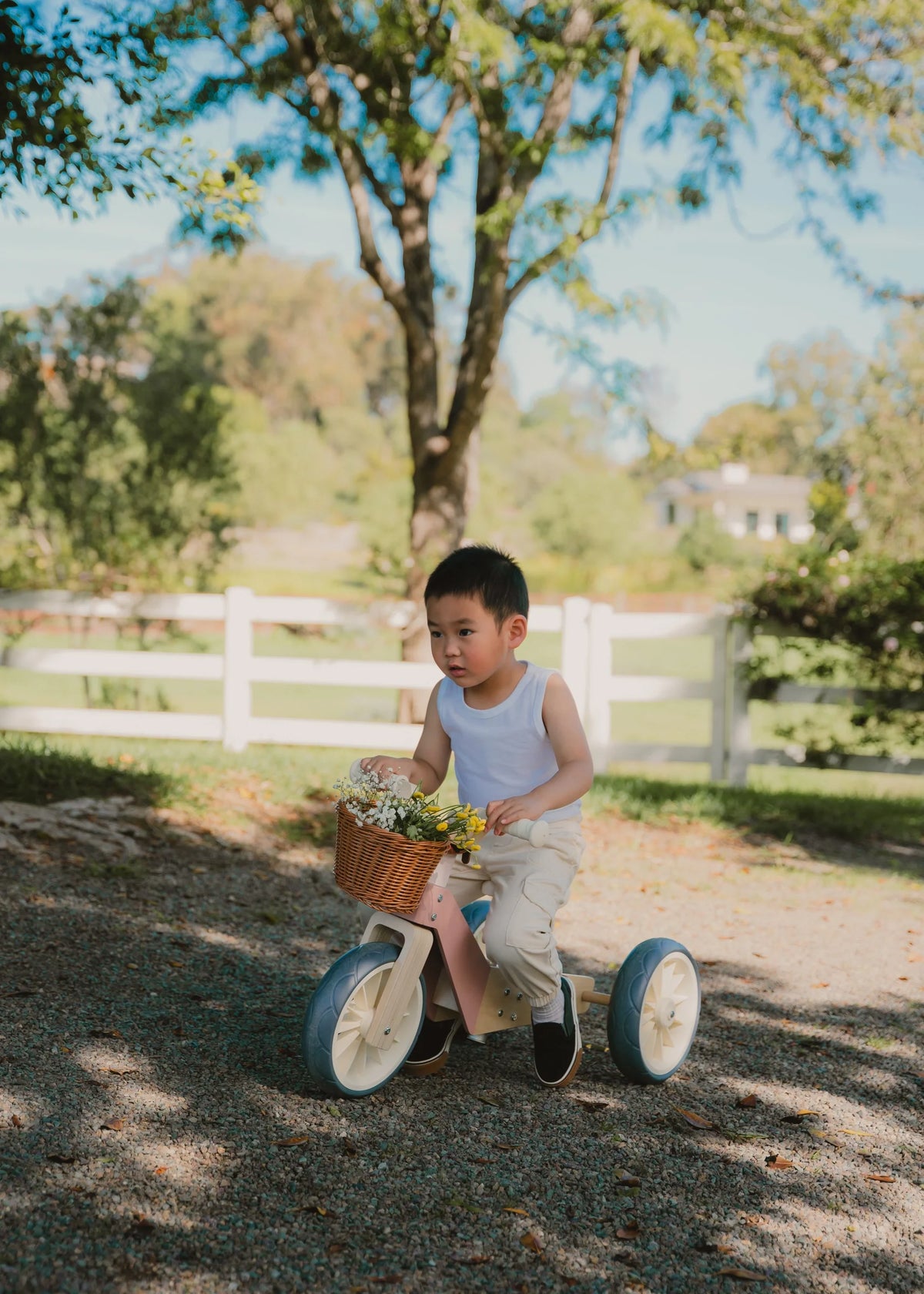 Evolutive Wooden Balance Bike 3-in-1 ( Petunia ) Cover
