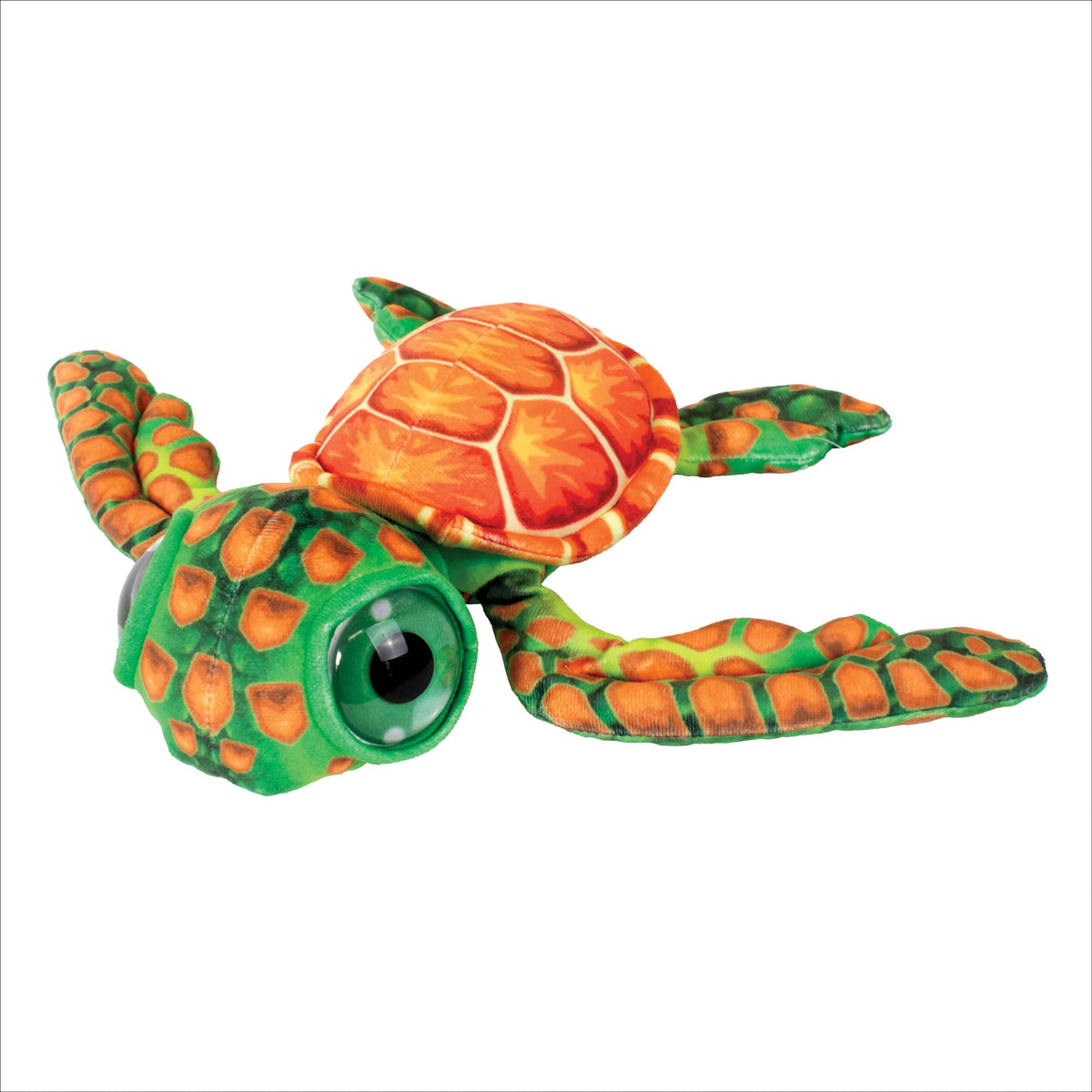 Big Eye Turtle 10