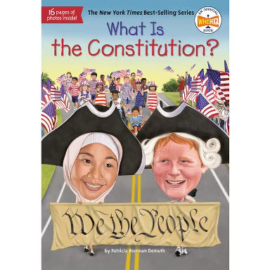 Tomfoolery Toys | What is the Constitution?