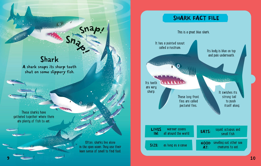 Slot Together Sea Creatures Preview #3