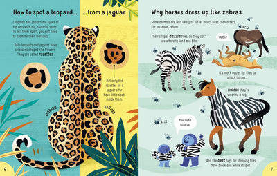 Lots of Things to Know About Animals Preview #3