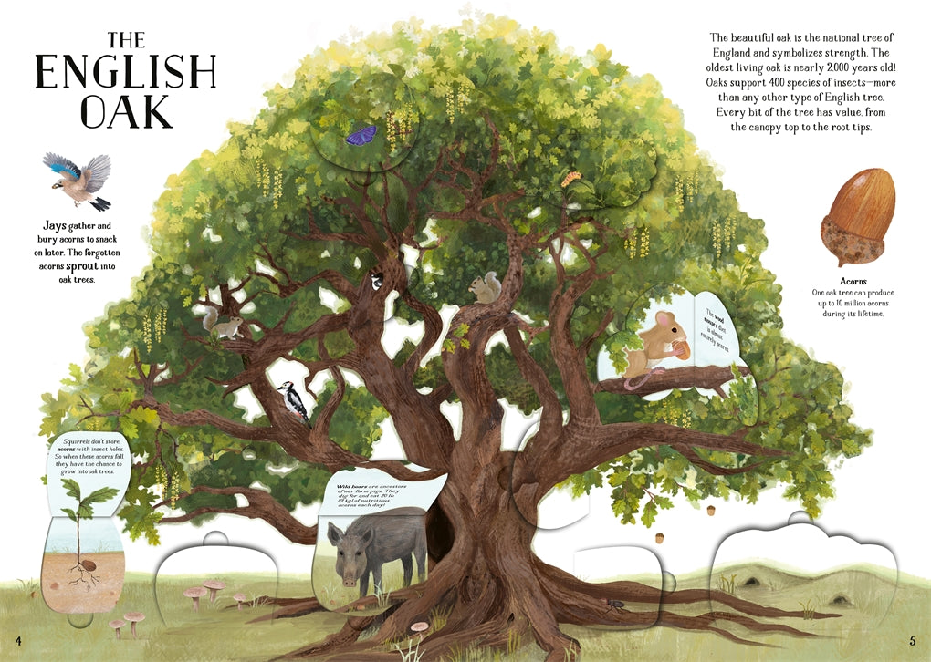 The Tree of Life Cover