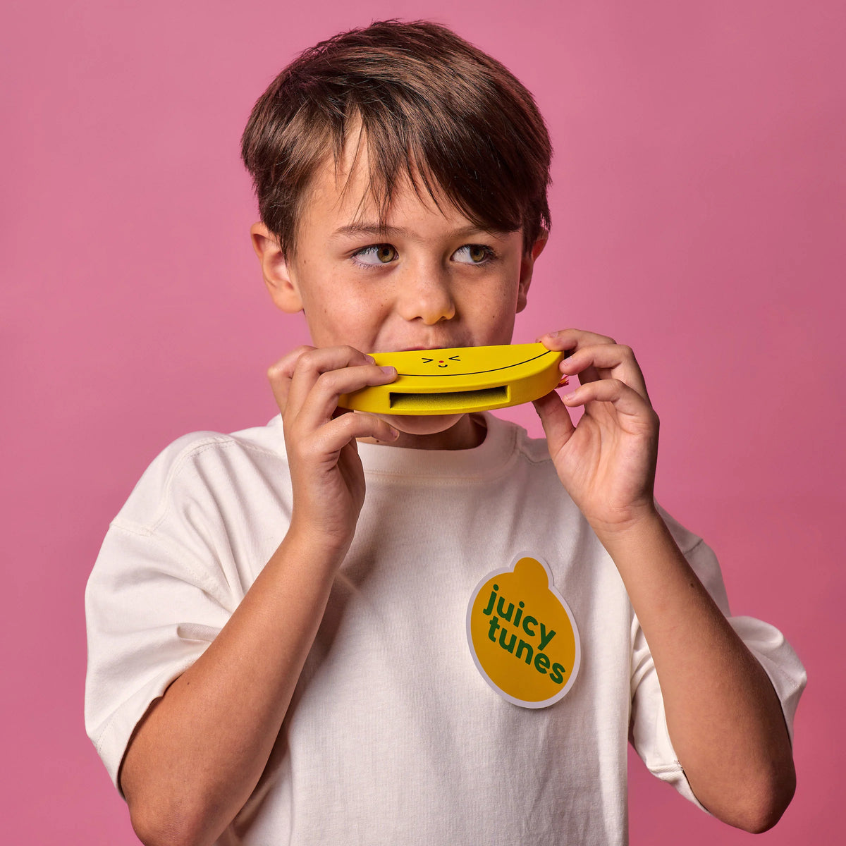 Wooden Fruit Harmonica Cover