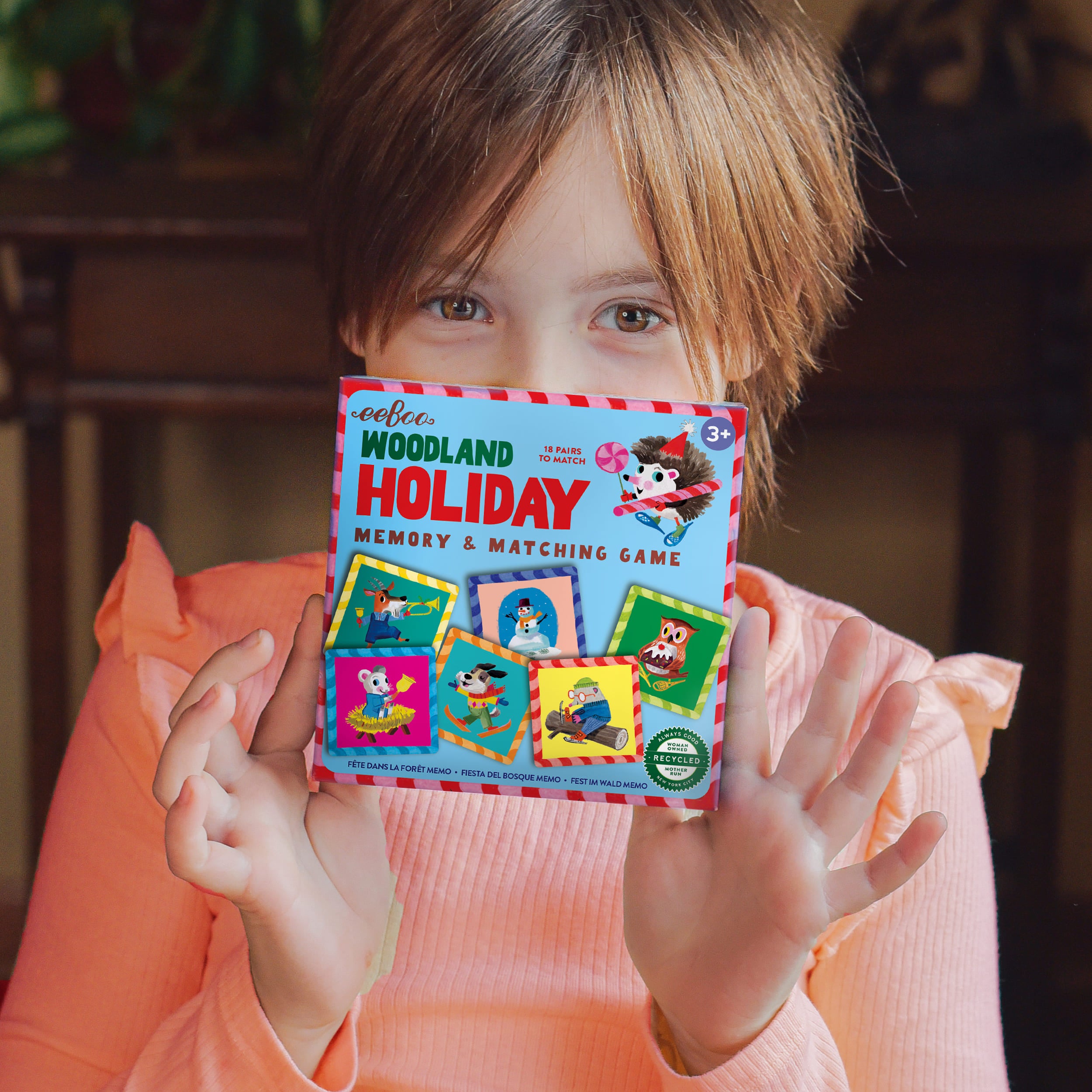 Tomfoolery Toys | Woodland Holiday Little Matching