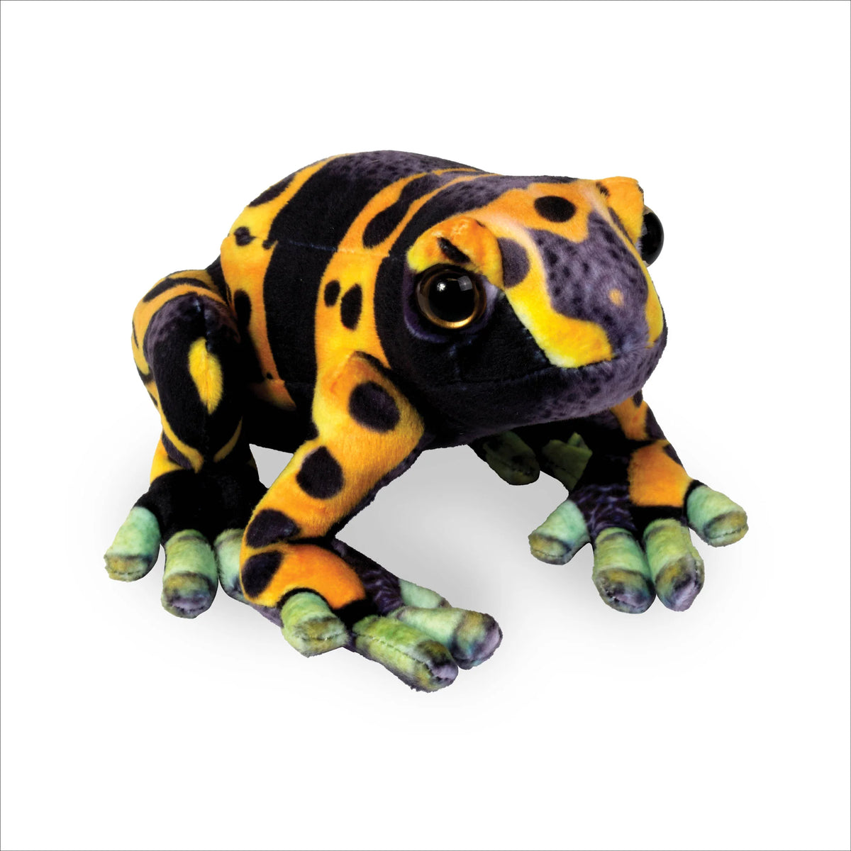 Poison Dart Frog 7