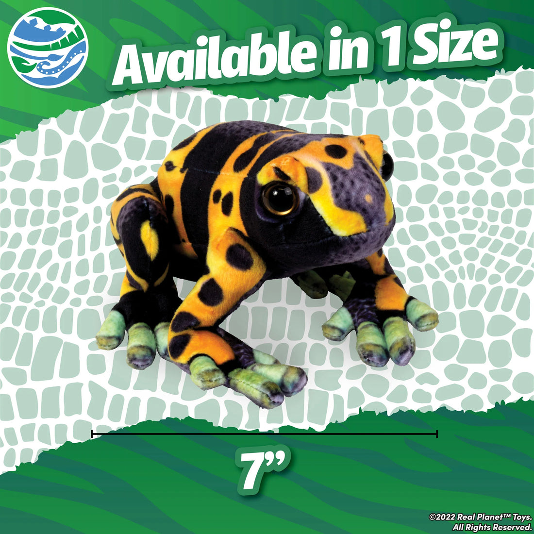 Poison Dart Frog 7