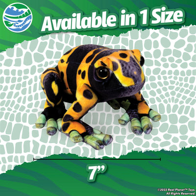 Poison Dart Frog 7