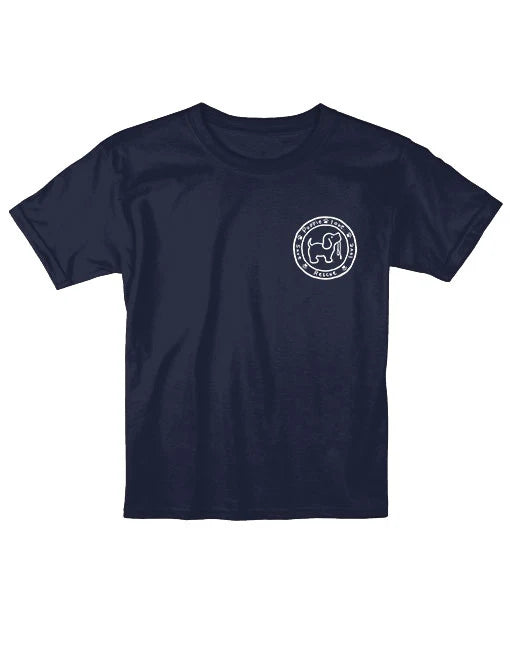 Stars & Stripes Pup T-Shirt Cover